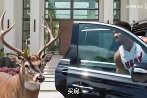 如何看待香波特说：伊戈达拉的MVP比哈登更值得被记住？